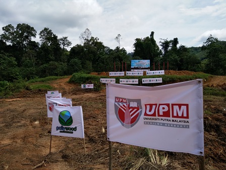 The sprawling 200-hectare farm that will be planted with Paulownia trees at Mering subdistrict, Lojing, Gua Musang, Kelantan,  with the help of Pollywood and UPM experts.