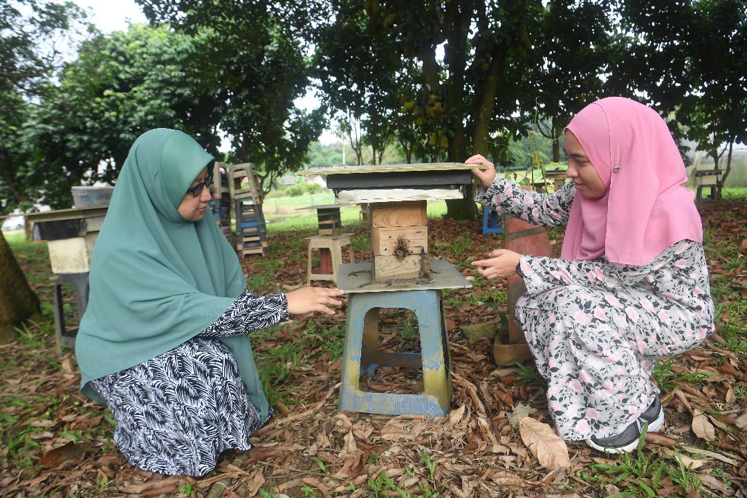 Dr. Norhasnida (kiri) dan pelajar Nurul Ainaa Farhanah Mat Ramlan melihat dari dekat sarang lebah kelulut.